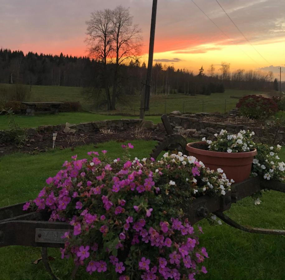 Viesu Nams Valodzes Otel Sigulda Dış mekan fotoğraf